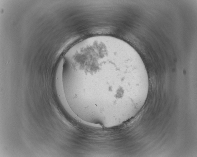 X0000061740159200512302221