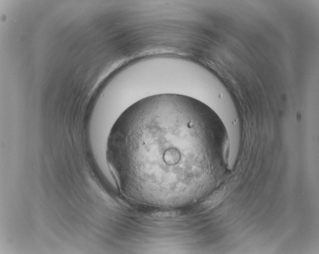 X0000061740160200512302221