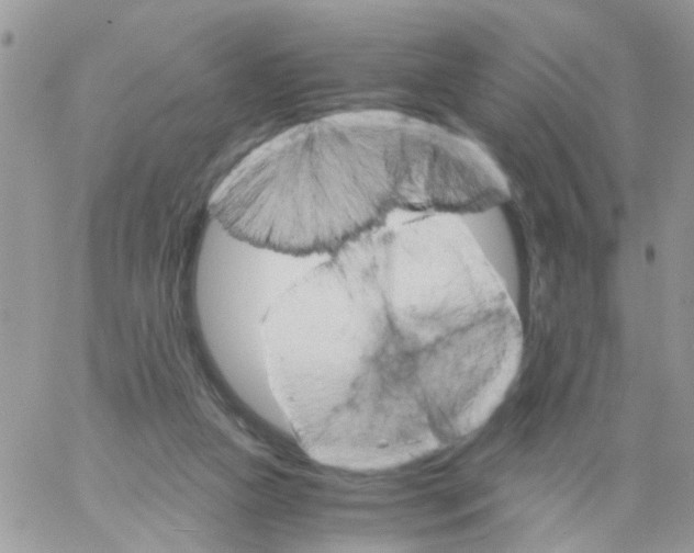 X0000061740161200512302221