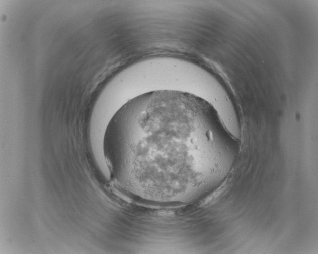 X0000061740162200512302221