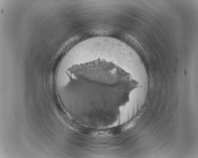 X0000061740163200512302221