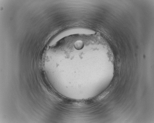 X0000061740164200512302221