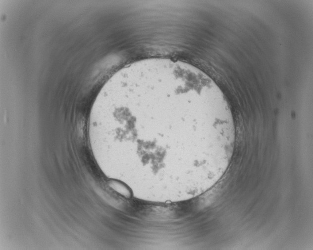 X0000061740166200512302221