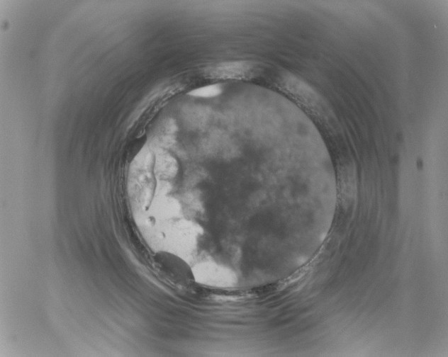 X0000061740167200512302221