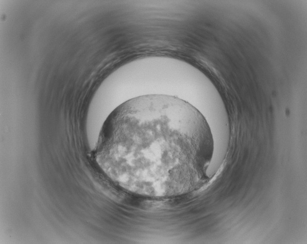 X0000061740170200512302221