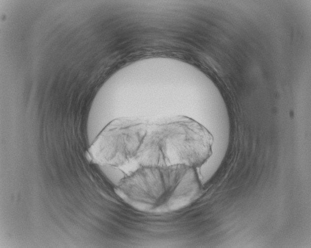 X0000061740173200512302221