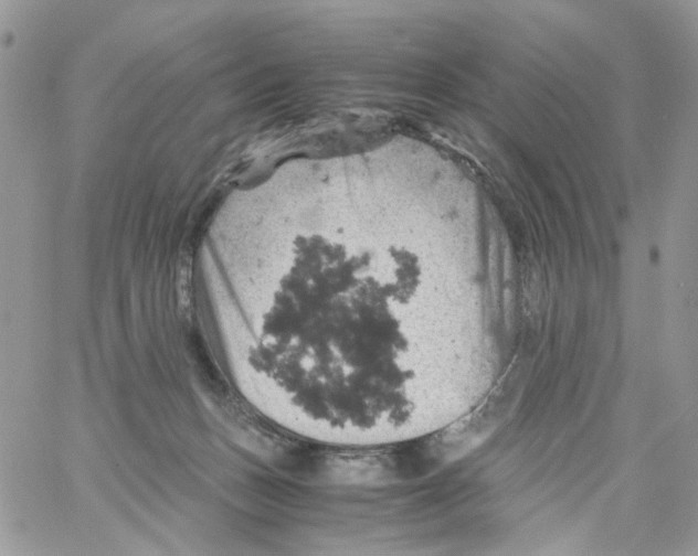 X0000061740175200512302221