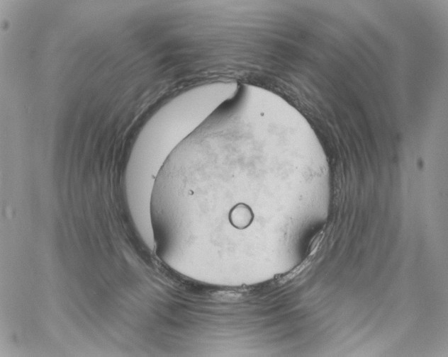 X0000061740176200512302221