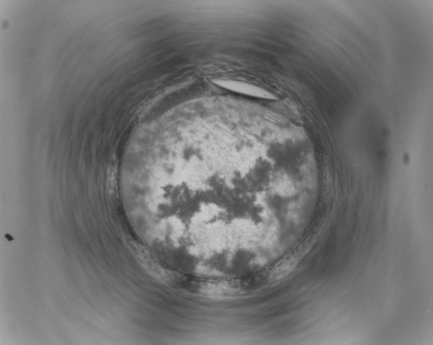 X0000061740177200512302221