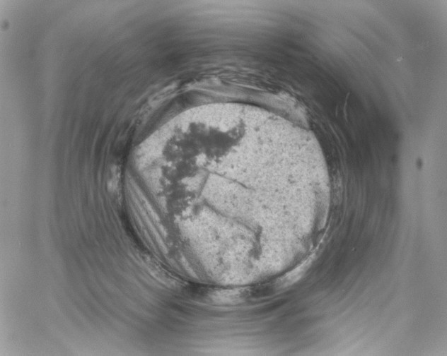 X0000061740178200512302221