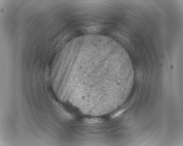 X0000061740181200512302221