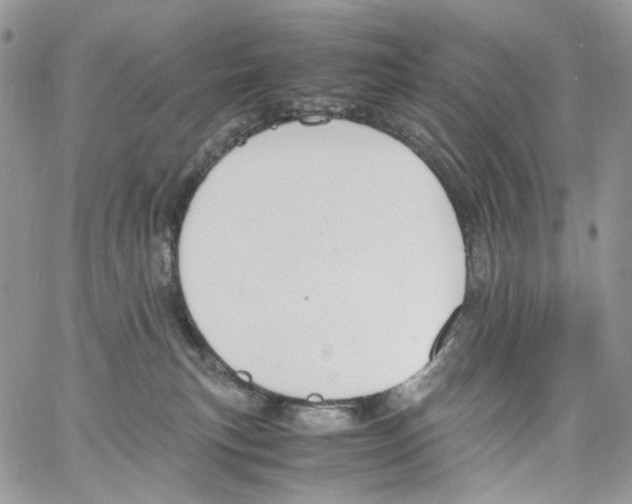 X0000061740183200512302221