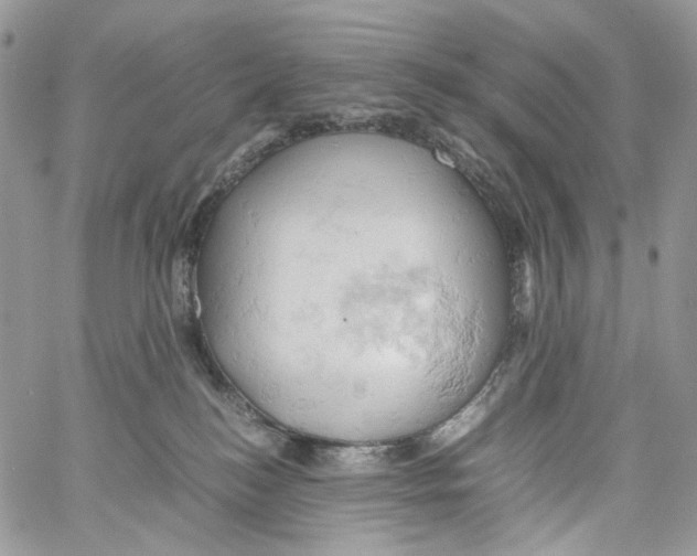 X0000061740184200512302221