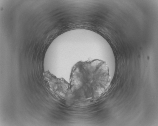 X0000061740185200512302221