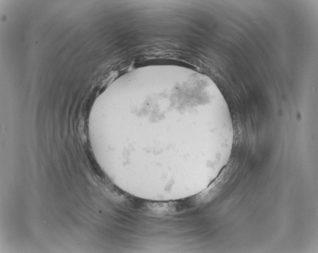 X0000061740187200512302221