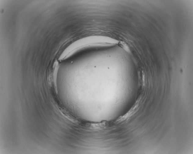 X0000061740188200512302221