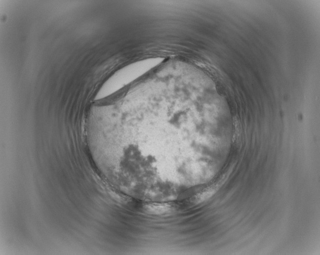 X0000061740189200512302221