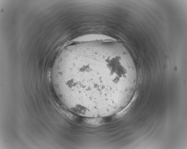 X0000061740191200512302221