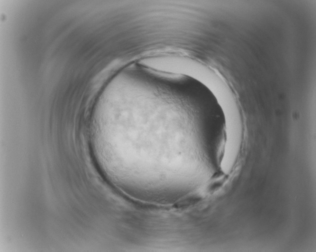 X0000061740193200512302220