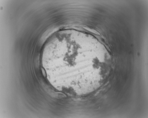 X0000061740194200512302220