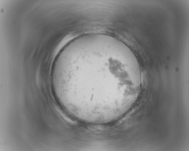 X0000061740195200512302220