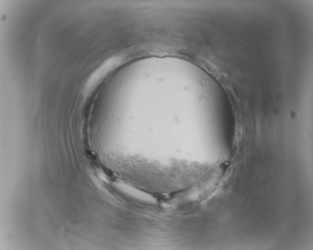 X0000061740197200512302220