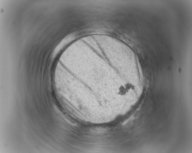 X0000061740198200512302220