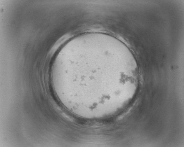 X0000061740199200512302220