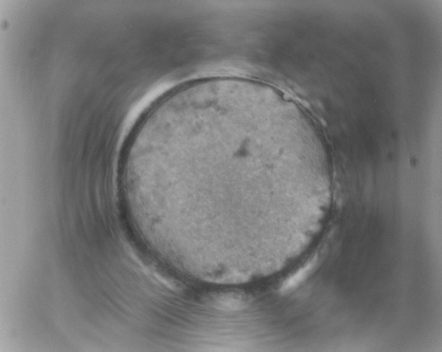 X0000061740200200512302220