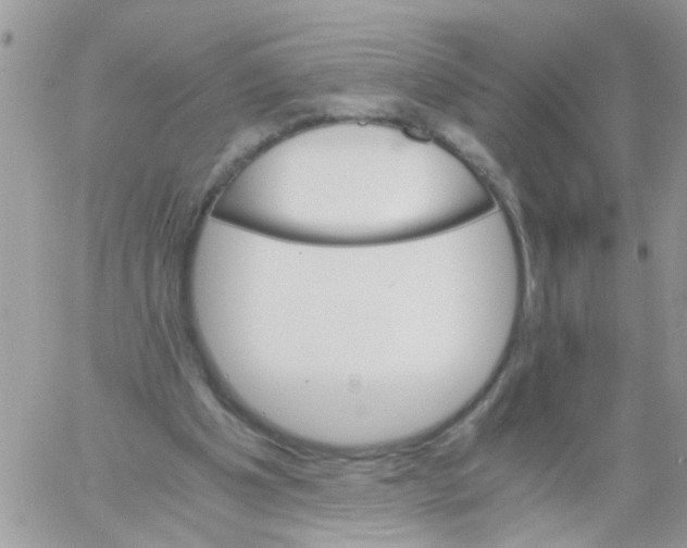 X0000061740201200512302220