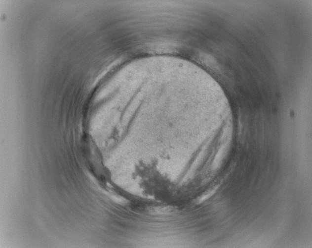 X0000061740202200512302220