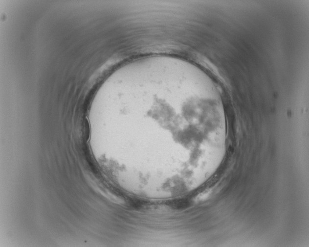 X0000061740203200512302220