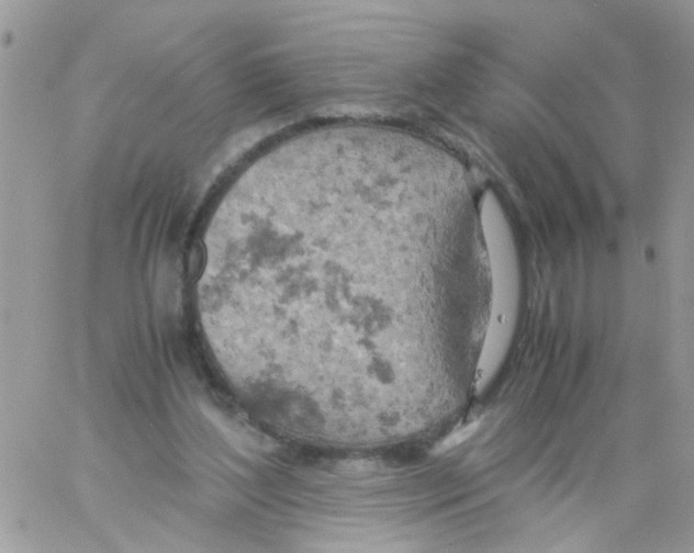 X0000061740204200512302220