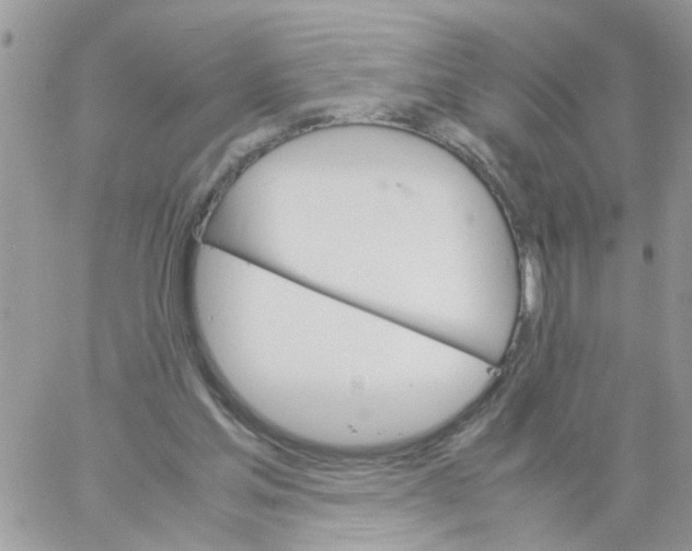 X0000061740205200512302220