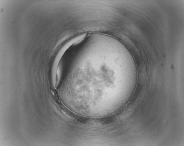 X0000061740207200512302220