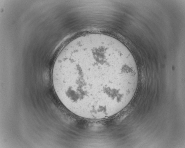 X0000061740208200512302220