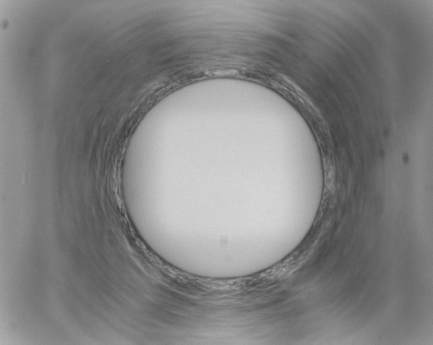 X0000061740209200512302220