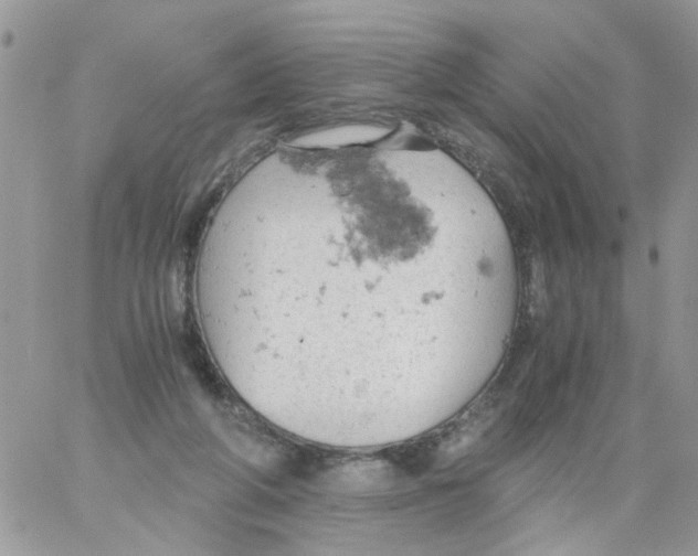 X0000061740210200512302220