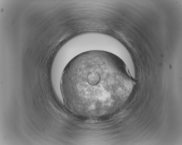 X0000061740211200512302220