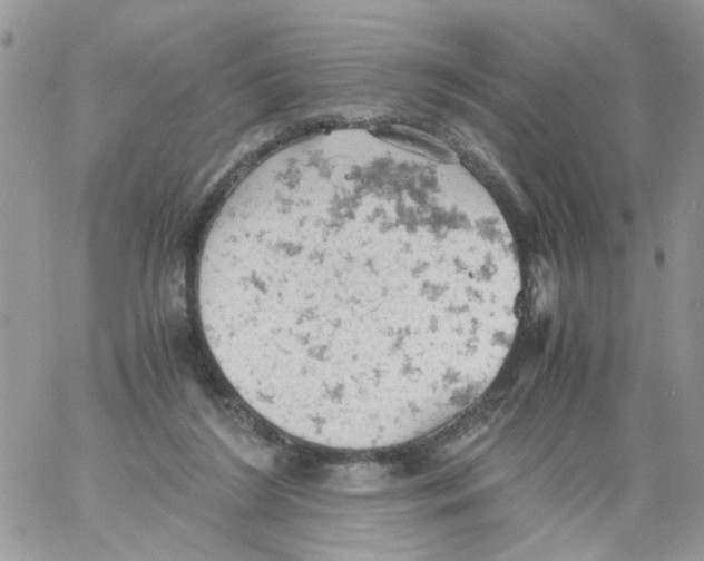 X0000061740212200512302220