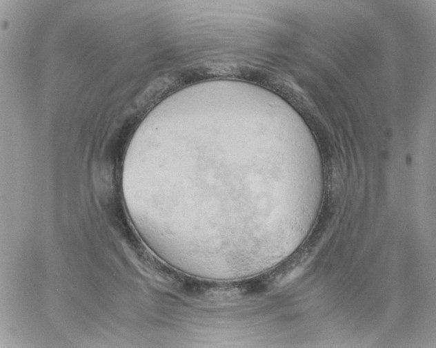 X0000061740213200512302220