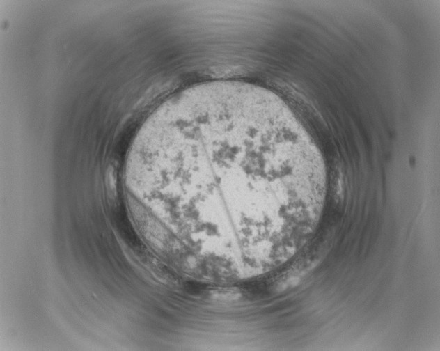 X0000061740214200512302220