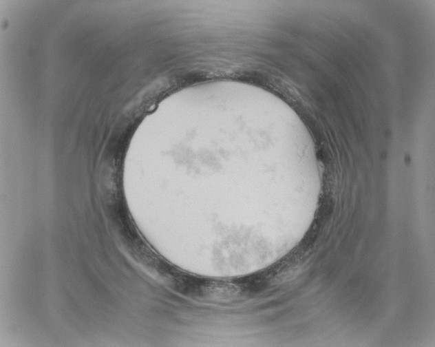 X0000061740215200512302220