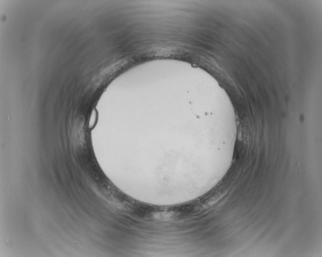 X0000061740216200512302220