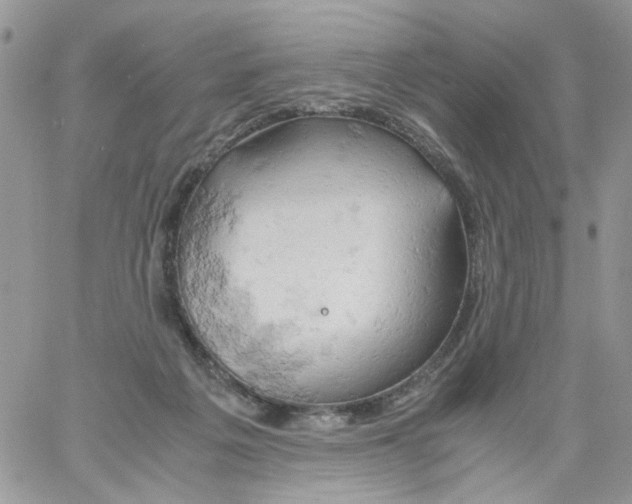 X0000061740217200512302220