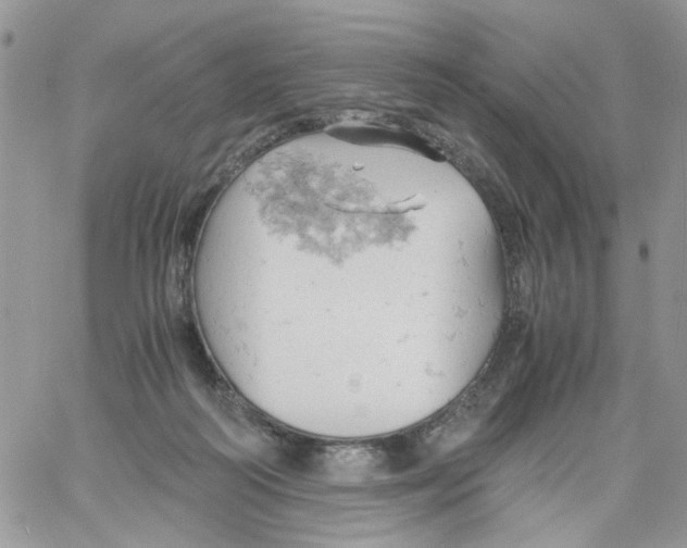 X0000061740218200512302220