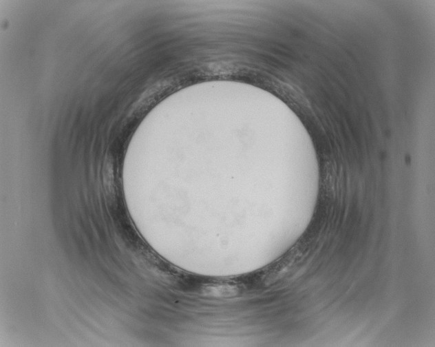 X0000061740220200512302220