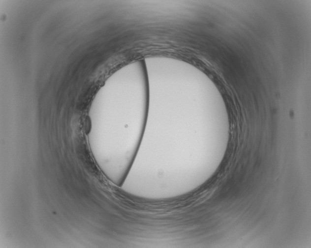 X0000061740221200512302220