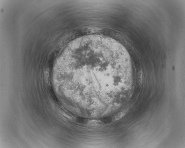 X0000061740222200512302220