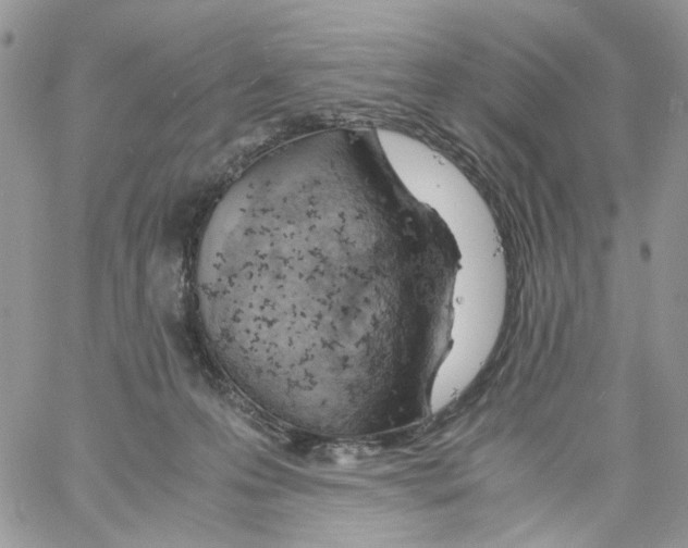 X0000061740223200512302220